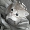 用户