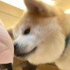 微信