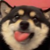 访客