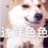 访客家里来了