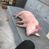 访客hdhdhdh