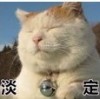 用户