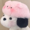 访客