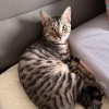 用户