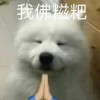 访客