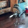访客