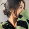 访客