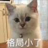 访客