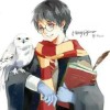 小白二世