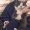 用户