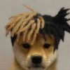 访客