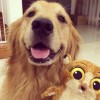 访客