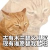 用户