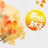 用户