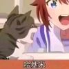 访客